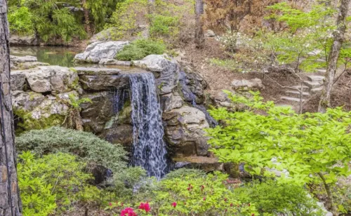 Garvan Woodland Gardens